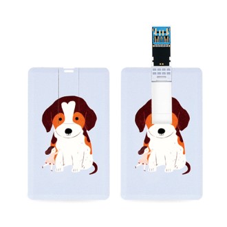 �������丮�� ī���� USB3.0�޸� 128GB