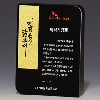 ������ ���� ���� Ʈ���� S8A020-34