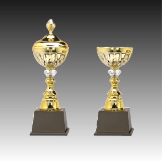 ��� ��ȸ �û� Ʈ���� �������� C �ֹ�����